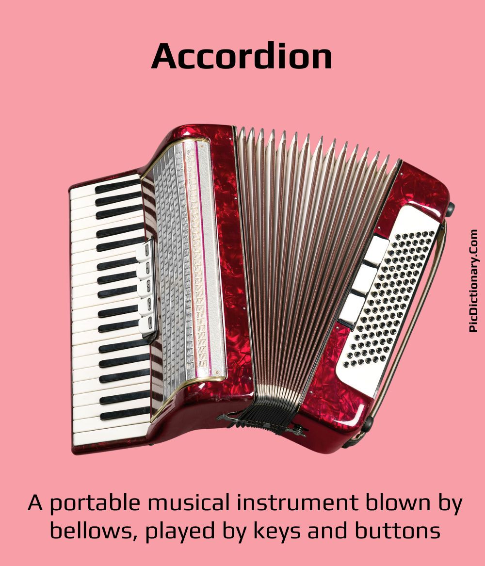Dictionary meaning of Accordion