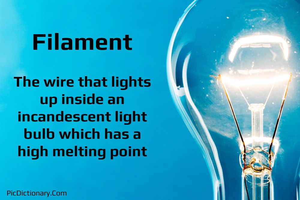 Dictionary meaning of Filament