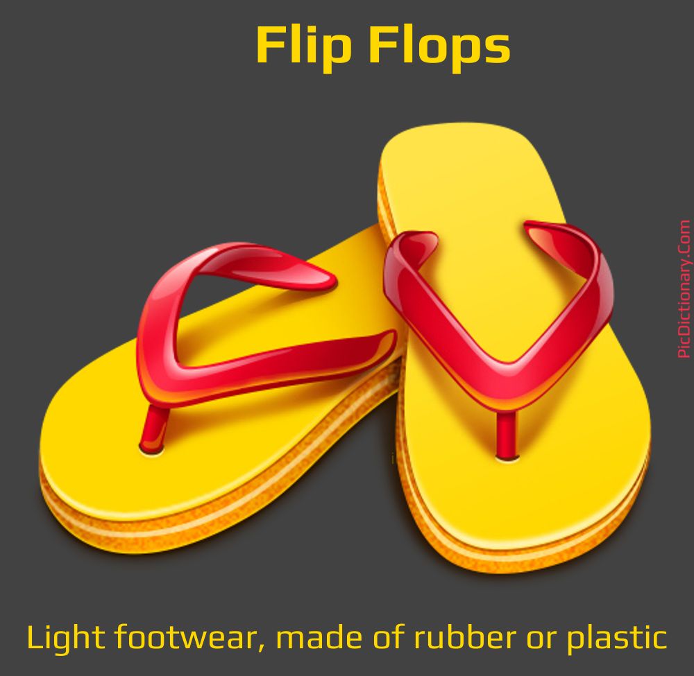 Dictionary meaning of Flip Flops