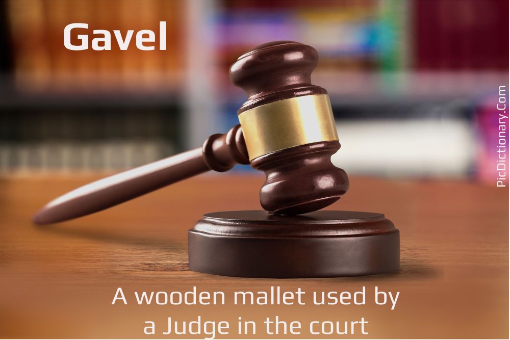 Dictionary meaning of Gavel