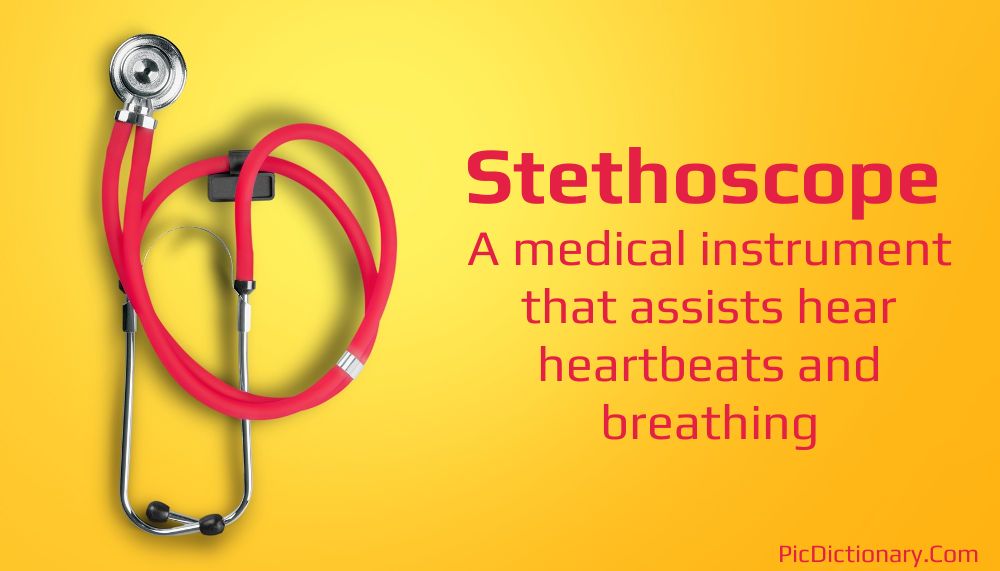 Dictionary meaning of Stethoscope