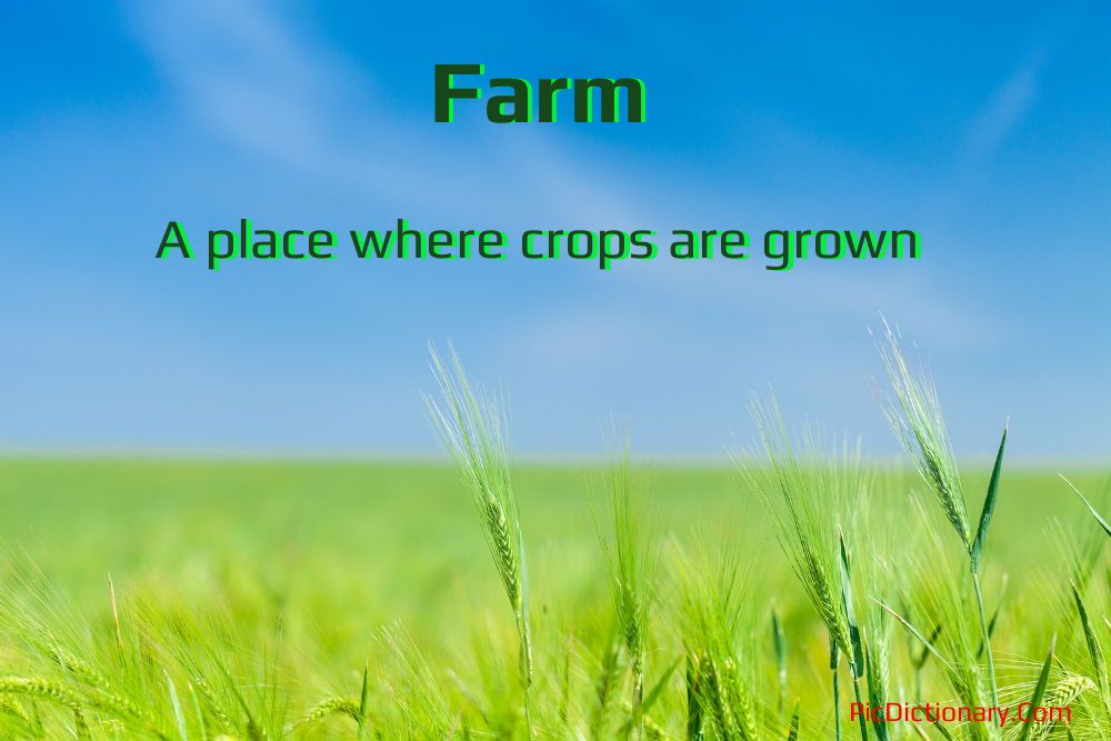 Dictionary meaning of Farm-
