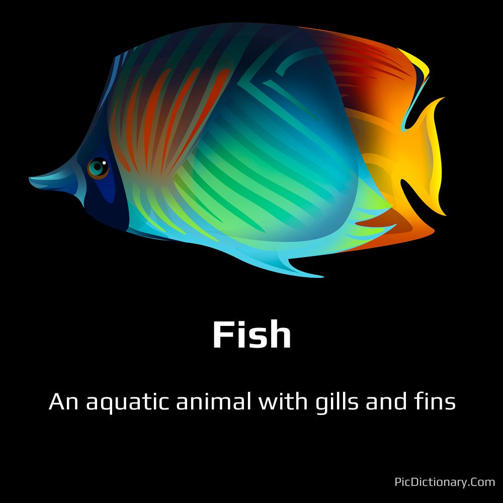 Dictionary meaning of Fish