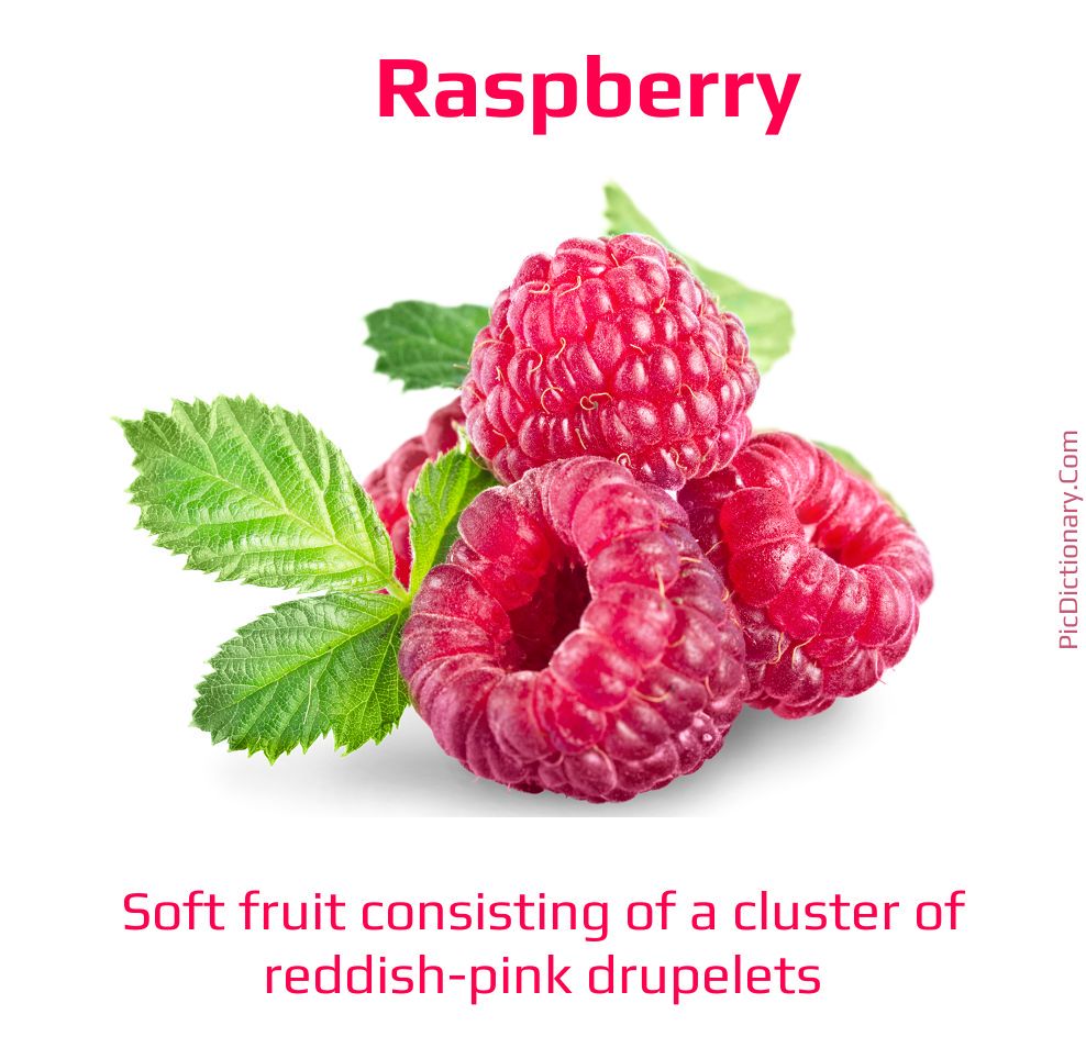 Dictionary meaning of Raspberry